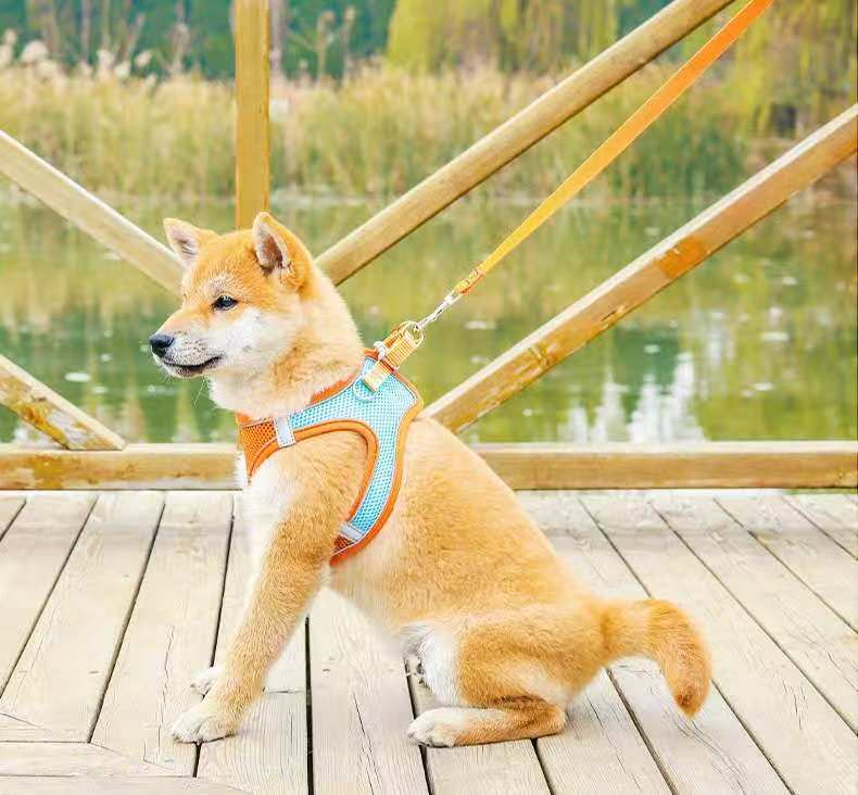 Liflax Dog Harness and Leash Set, Lightweight and Soft Puppy Vest, Breathable Mesh Pet Harness, Reflective Design for Safe and Easy Walking