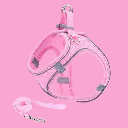 Liflax Dog Harness and Leash Set, Lightweight and Soft Puppy Vest, Breathable Mesh Pet Harness, Reflective Design for Safe and Easy Walking